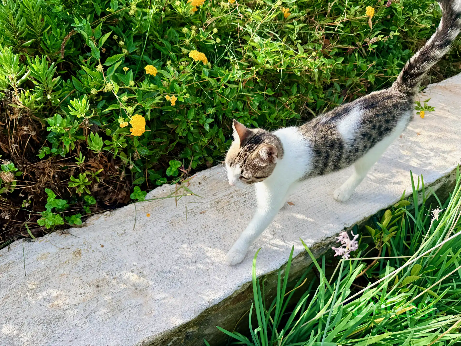 Georgioupolis, Kreta: Wo noch im Oktober der Sommer weilt