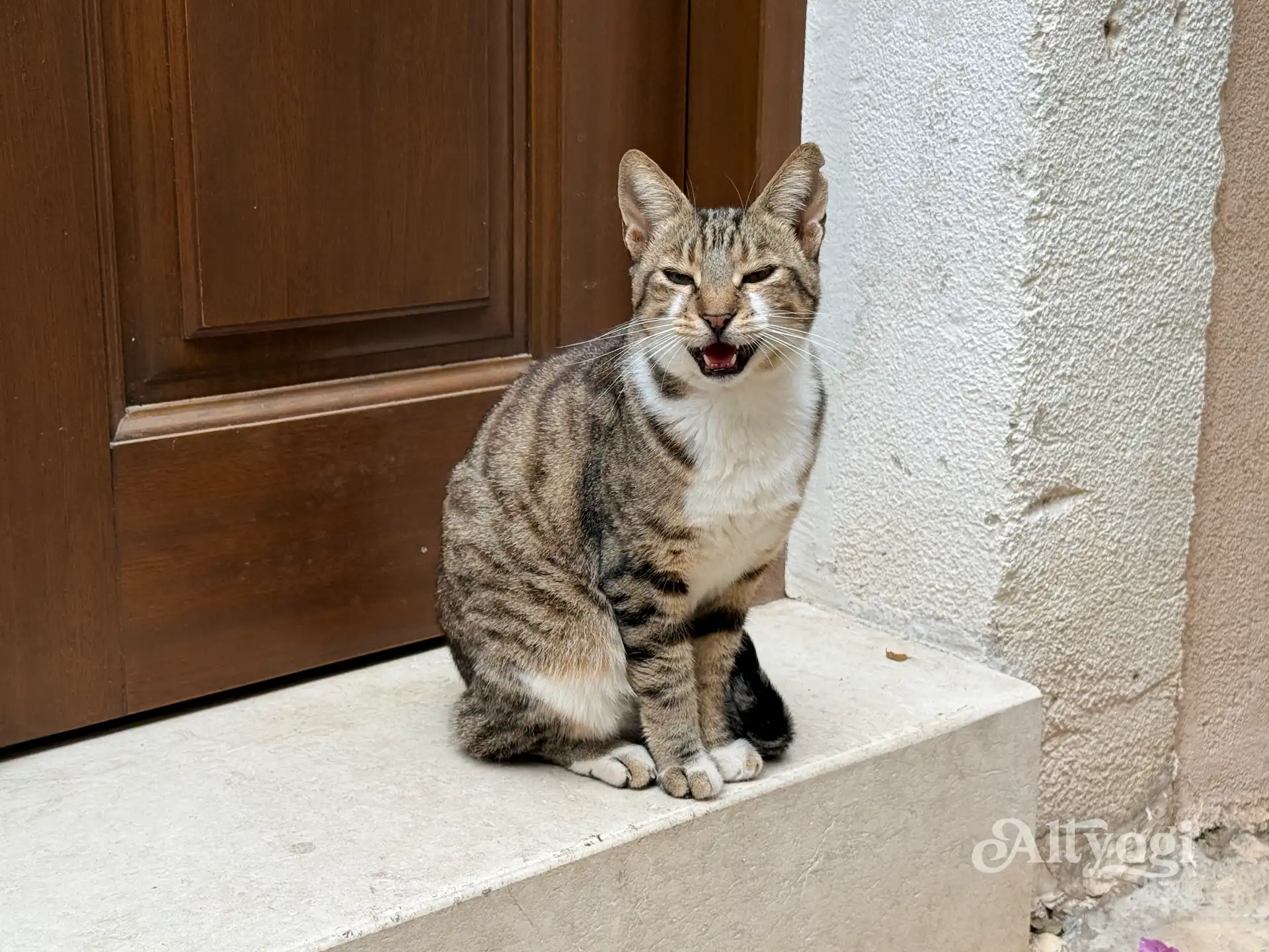 Georgioupolis, Kreta: Wo noch im Oktober der Sommer weilt