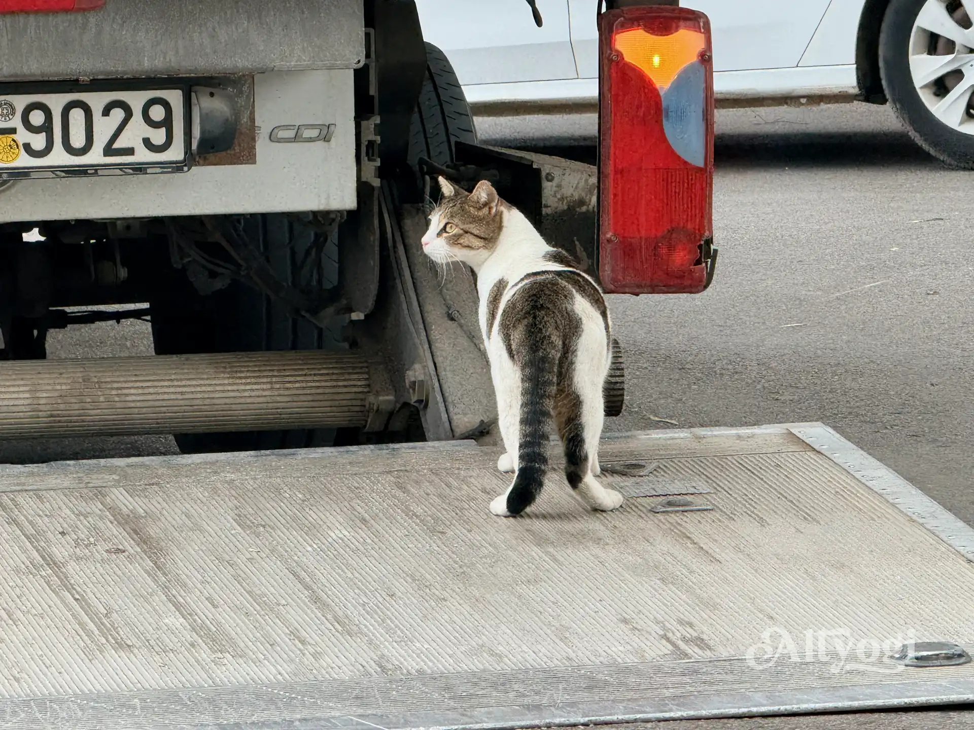 Georgioupolis, Kreta: Wo noch im Oktober der Sommer weilt