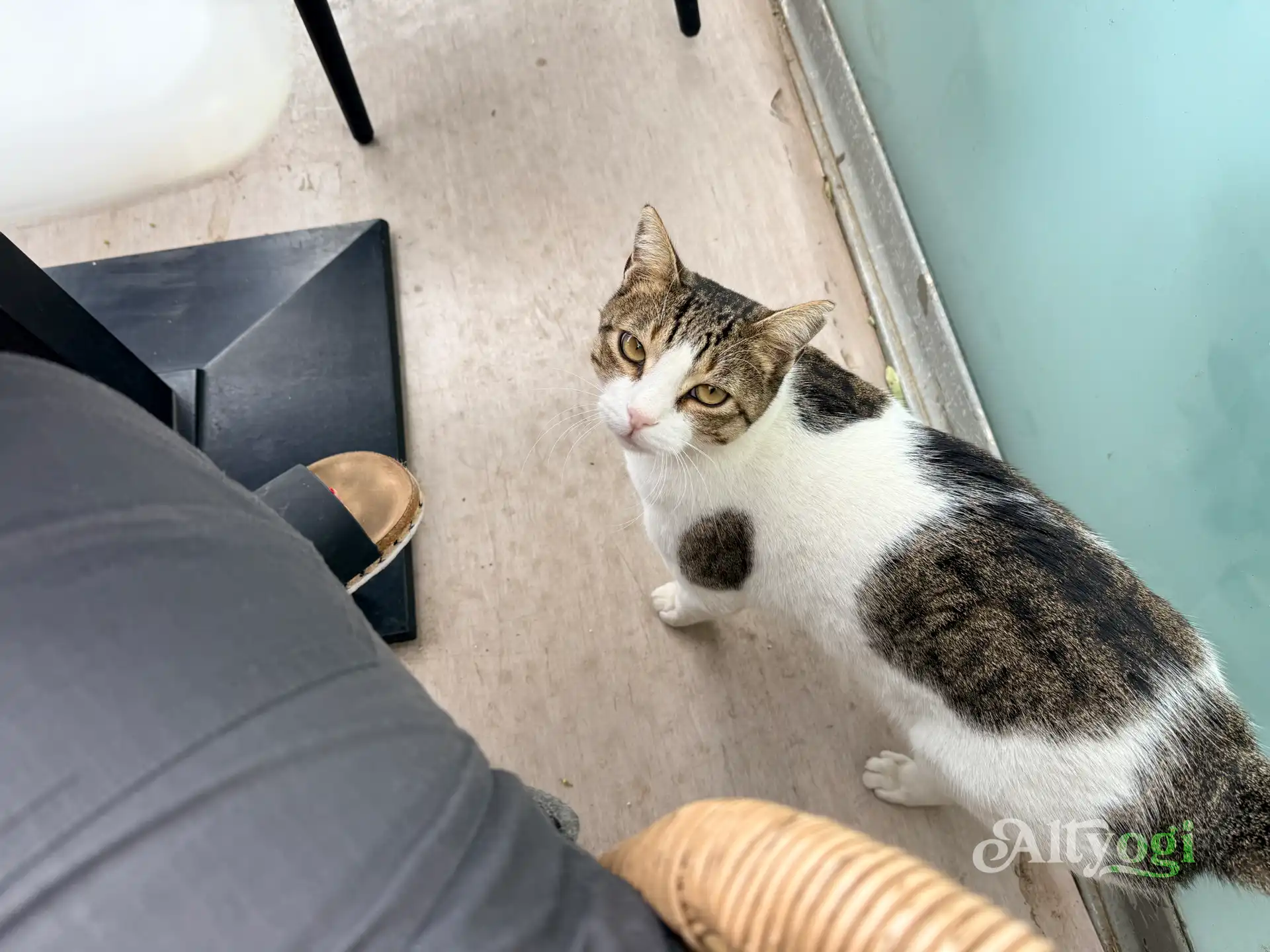 Georgioupolis, Kreta: Wo noch im Oktober der Sommer weilt