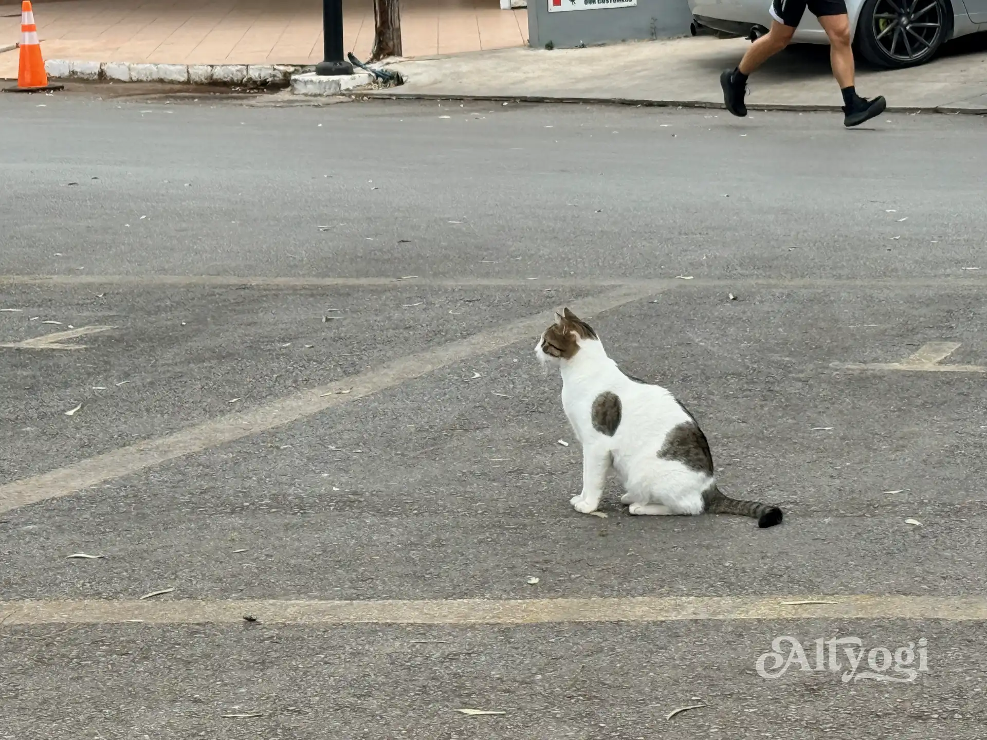 Georgioupolis, Kreta: Wo noch im Oktober der Sommer weilt