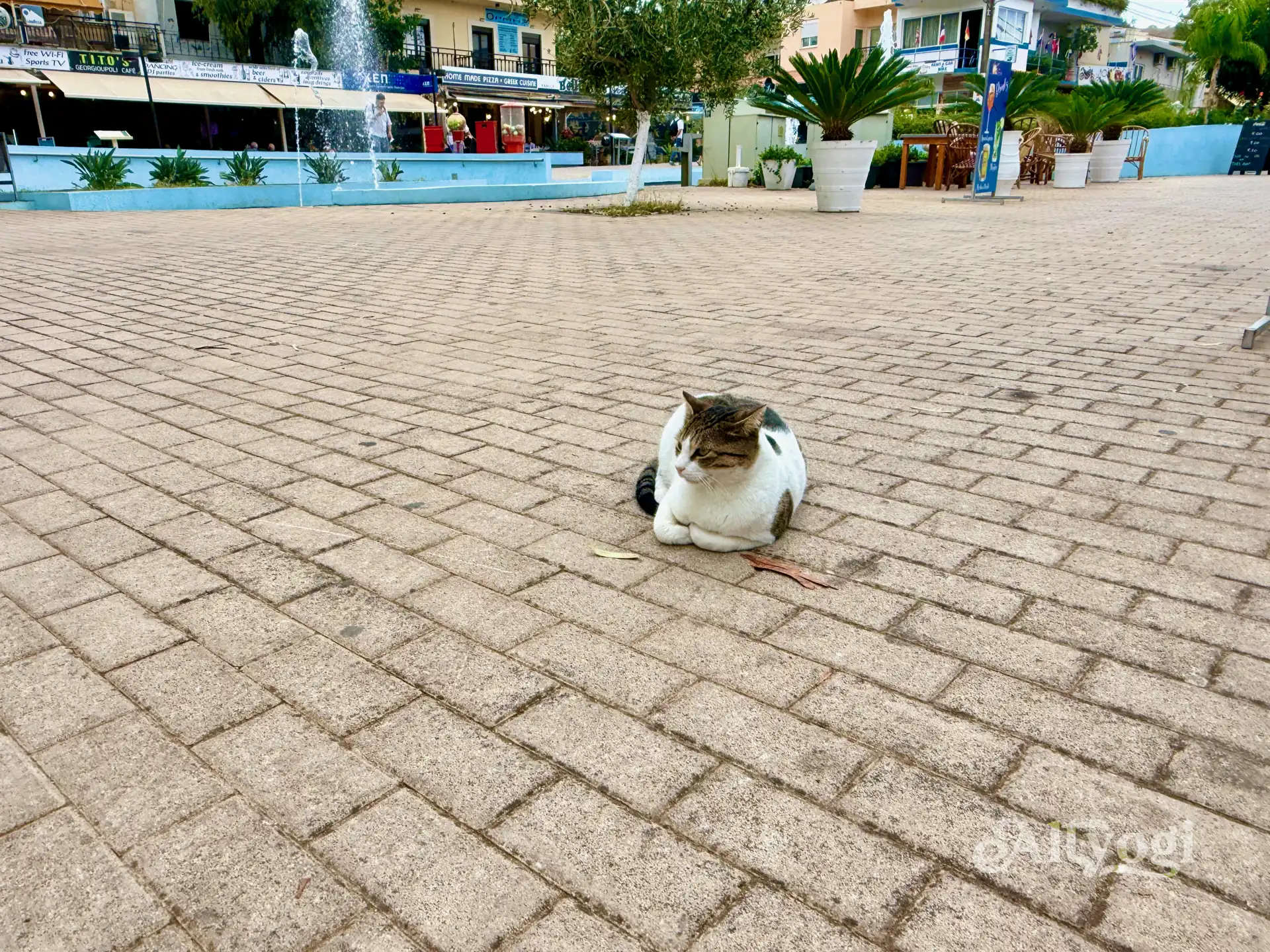 Georgioupolis, Kreta: Wo noch im Oktober der Sommer weilt