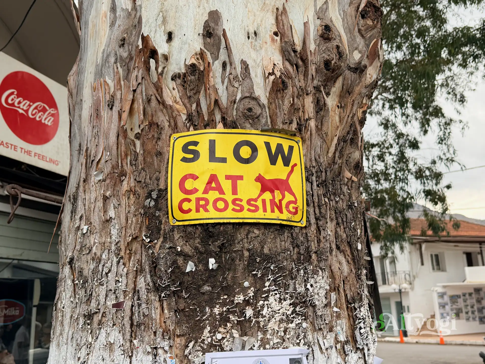 Georgioupolis, Kreta: Wo noch im Oktober der Sommer weilt