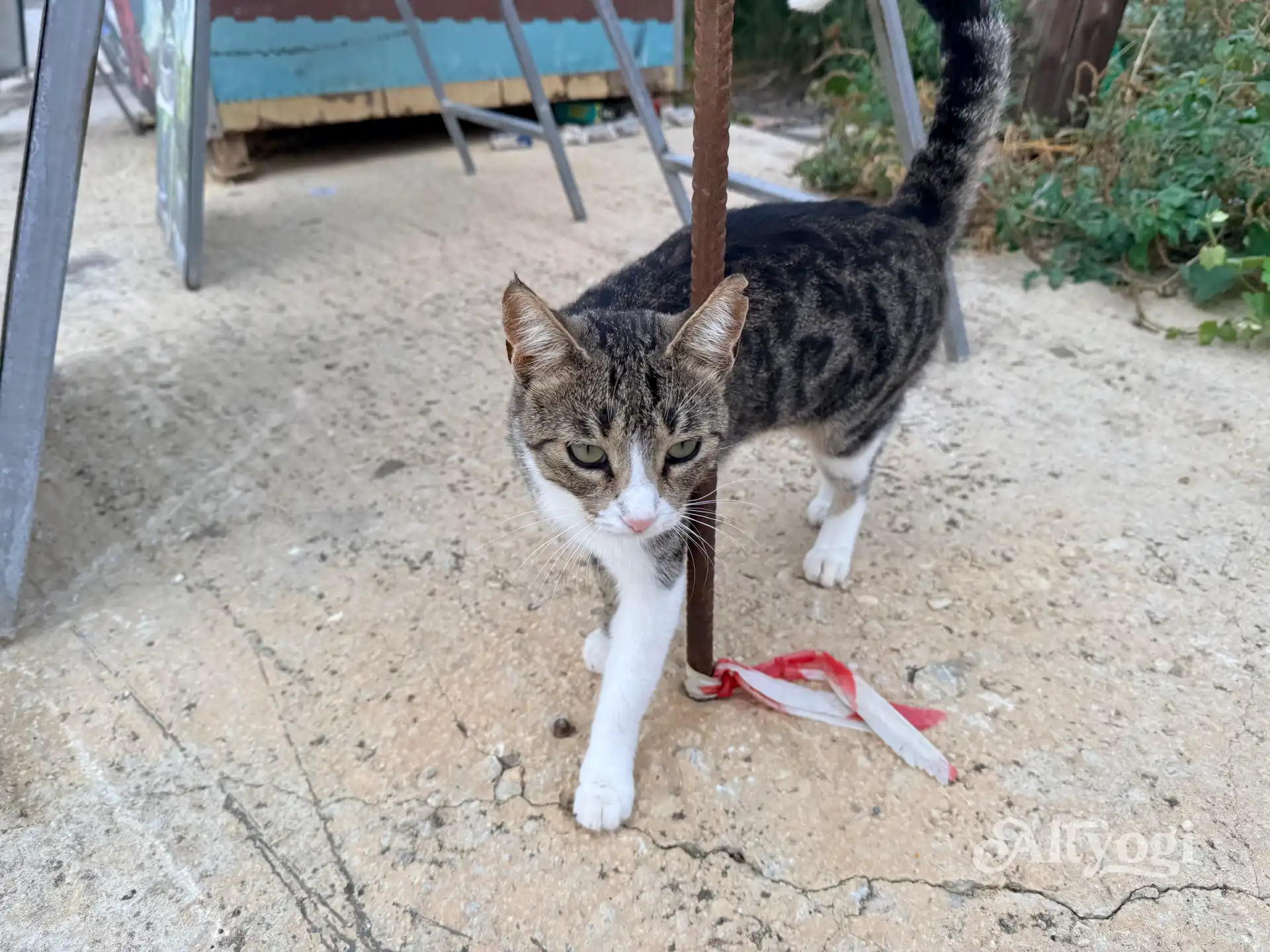 Georgioupolis, Kreta: Wo noch im Oktober der Sommer weilt